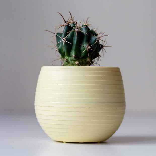 abortion-pills-in-pretoria-mkl